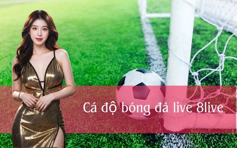 Cá độ bóng đá live 8live