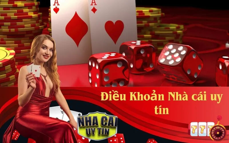 Điều Khoản Nhà cái uy tín