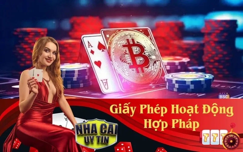 Giấy Phép Hoạt Động Hợp Pháp