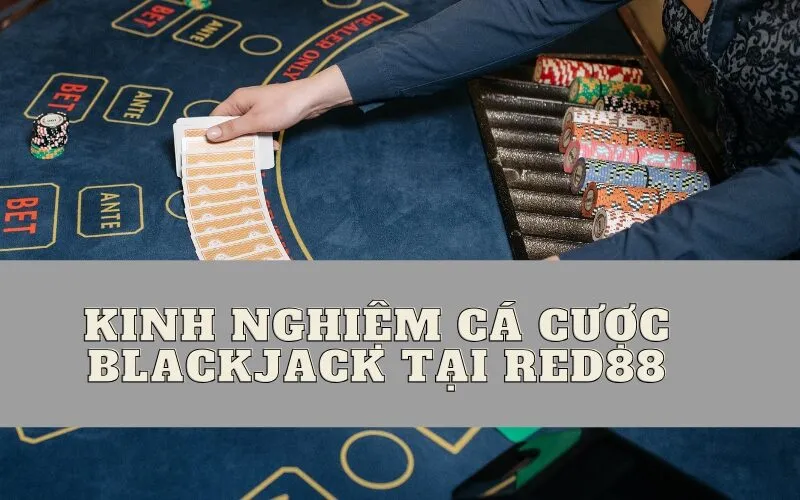 Kinh Nghiệm Cá Cược Blackjack Tại Red88