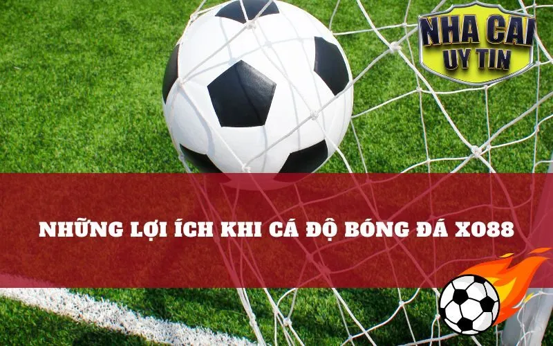 Những Lợi Ích Khi Cá Độ Bóng Đá Xo88